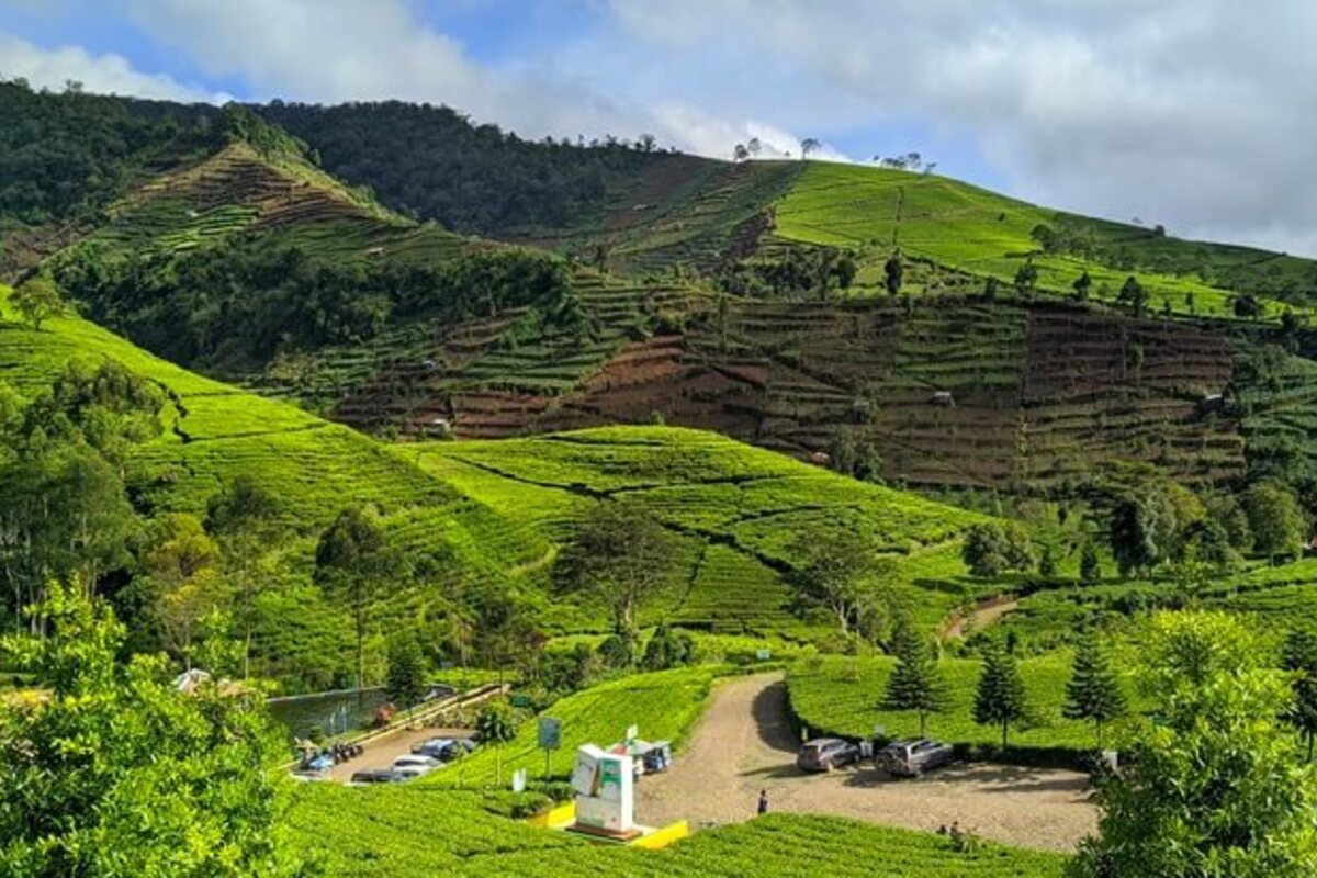 Mengenal Destinasi Wisata Kaligua 